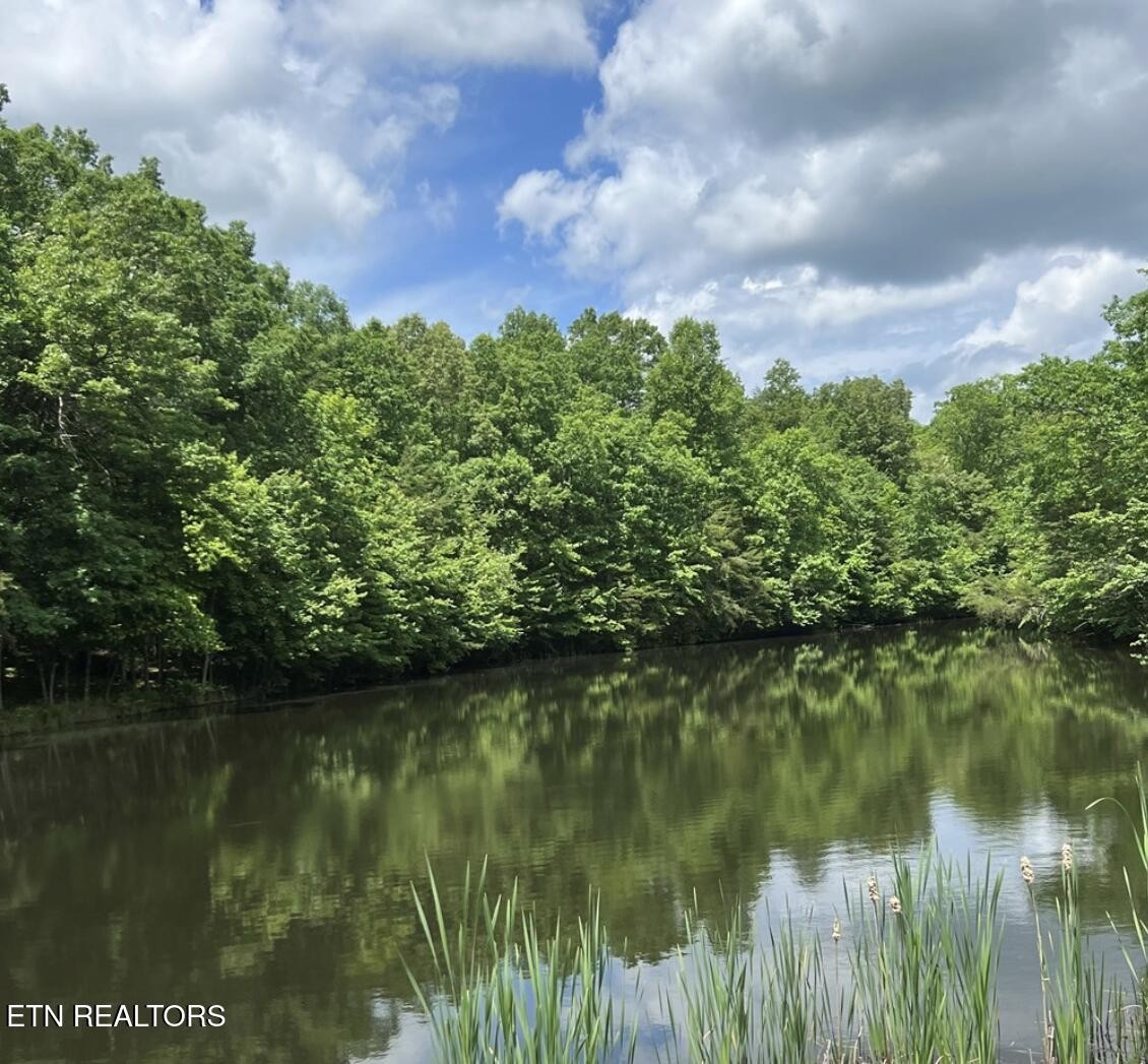 8 Cumberland Lakes Drive Monterey TN 38574