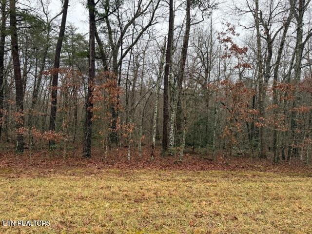 8 Cumberland Lakes Drive Monterey TN 38574