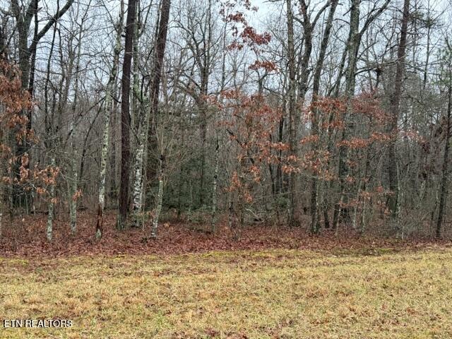 8 Cumberland Lakes Drive Monterey TN 38574