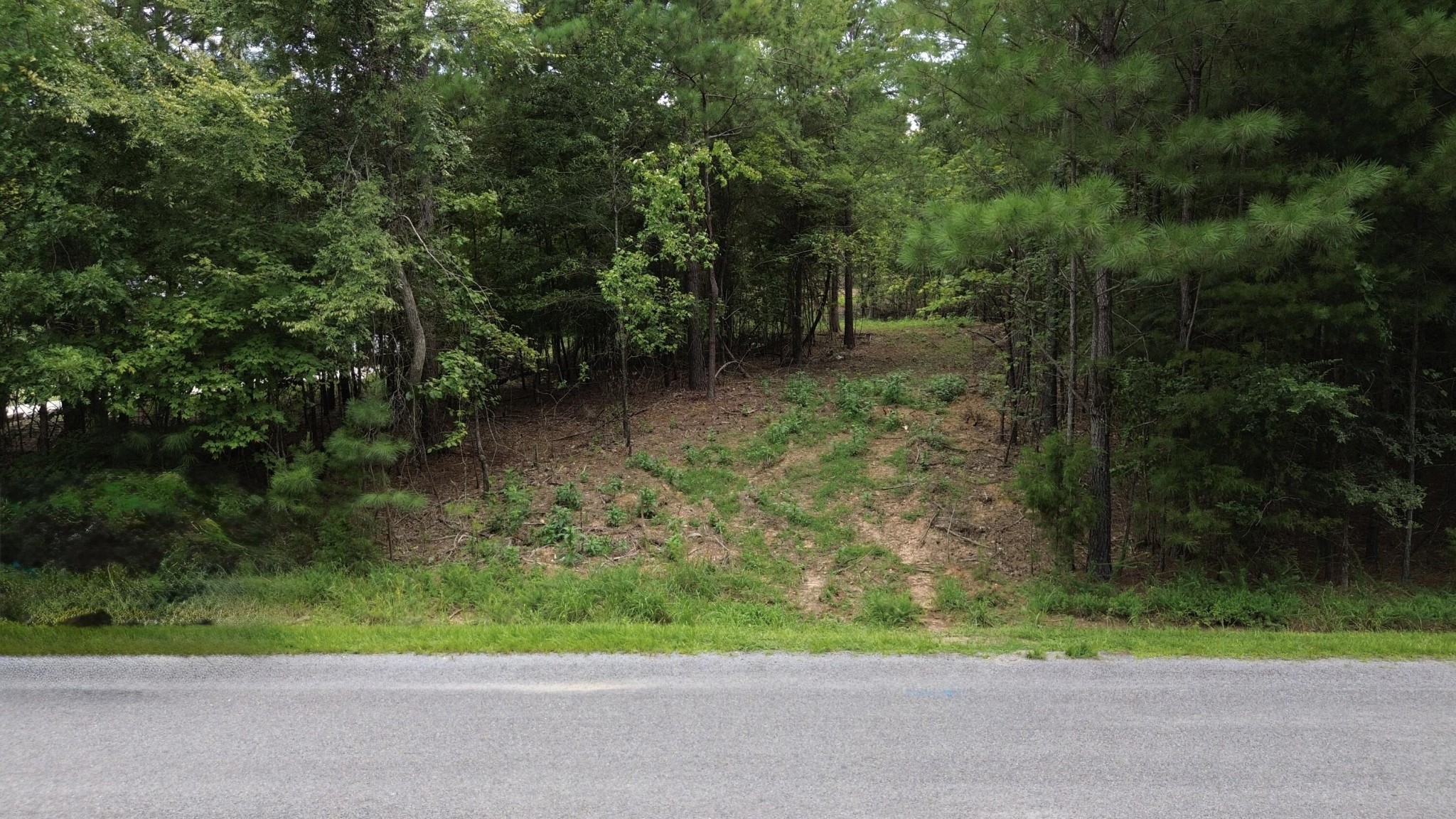 1399 Pin Hook Road Spring City TN 37381