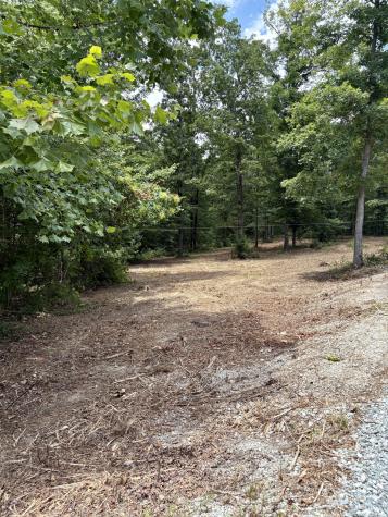2897 Brodies Landing Road Parsons TN 38363