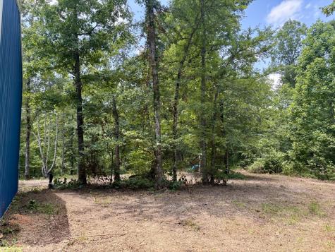 2897 Brodies Landing Road Parsons TN 38363