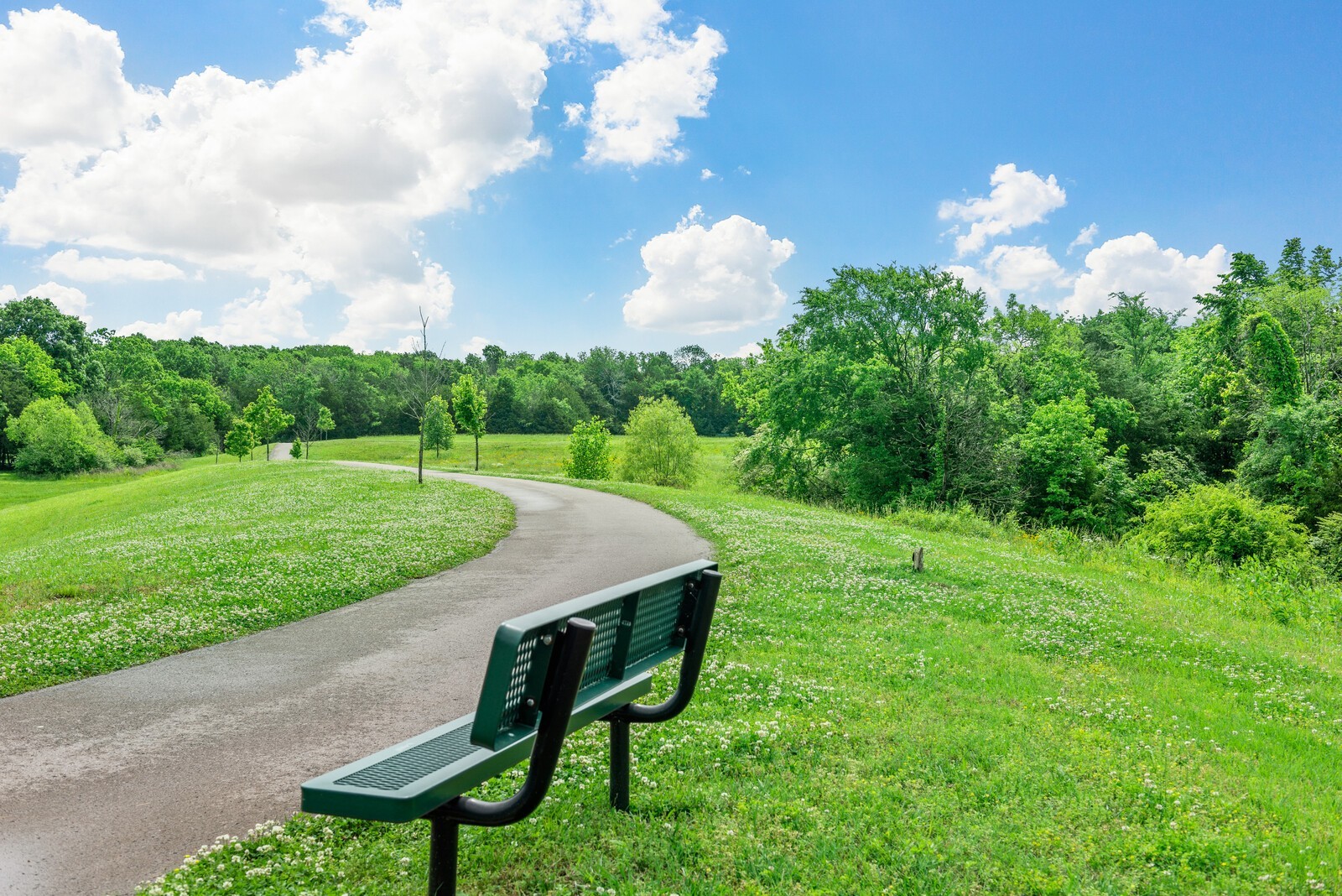 1858 Abbey Wood Drive Nolensville TN 37135