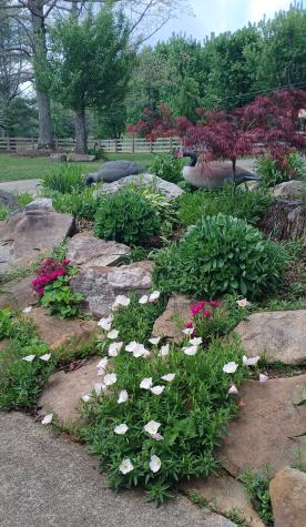 137 Lake Shore Boulevard Coalmont TN 37313