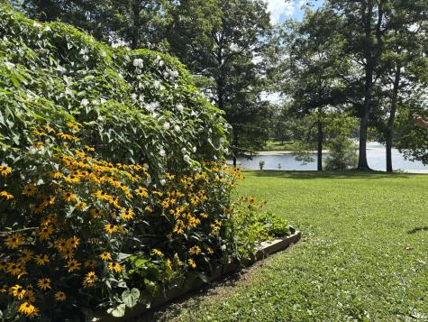 137 Lake Shore Boulevard Coalmont TN 37313