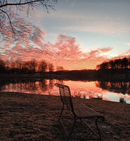 137 Lake Shore Boulevard Coalmont TN 37313