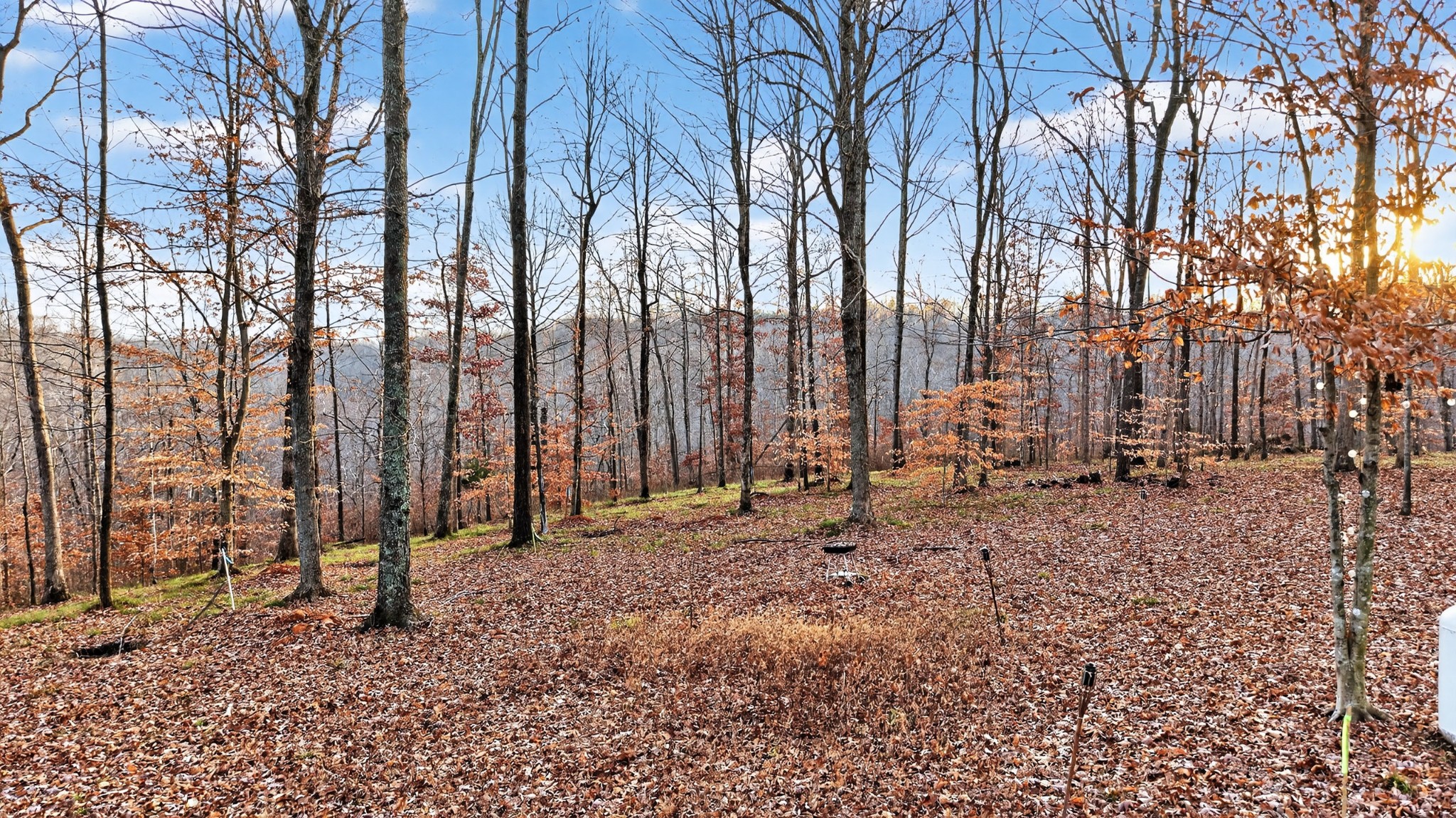 100 Waynoe Road Ashland City TN 37015