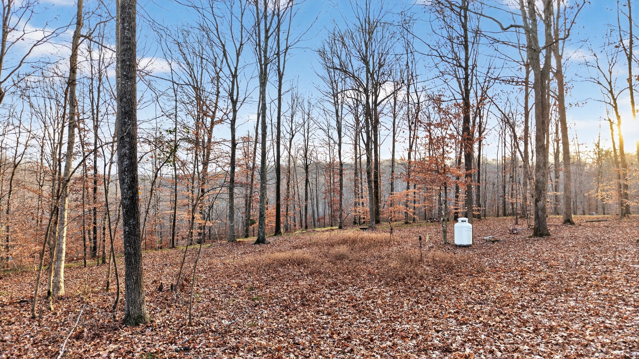 100 Waynoe Road Ashland City TN 37015