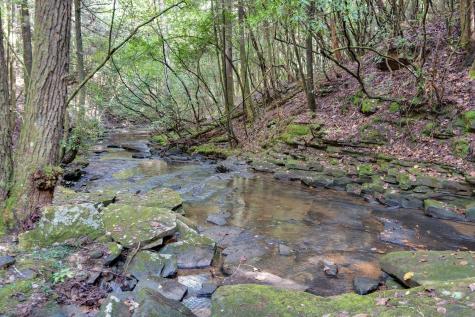 75A Deer Lick Trail Monteagle TN 37356