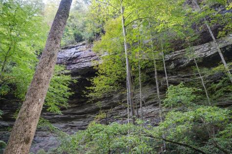 75A Deer Lick Trail Monteagle TN 37356