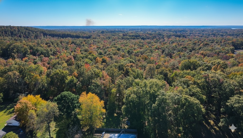 0 Woodland Drive New Johnsonville TN 37134