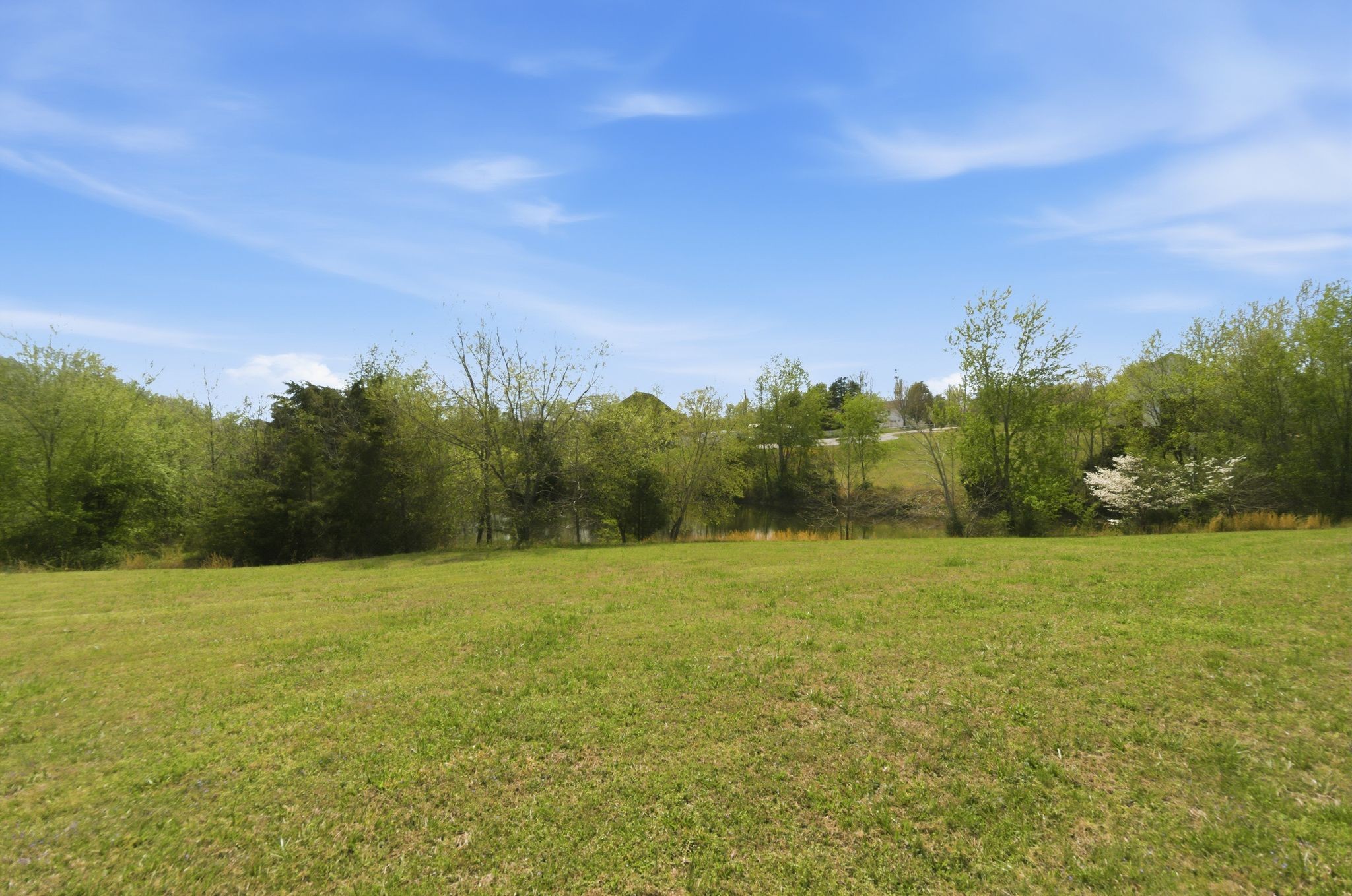 163 Lena Loop Burns TN 37029