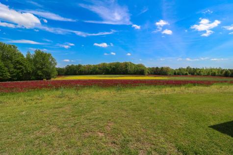 11450 Mcillwain Road Holladay TN 38341