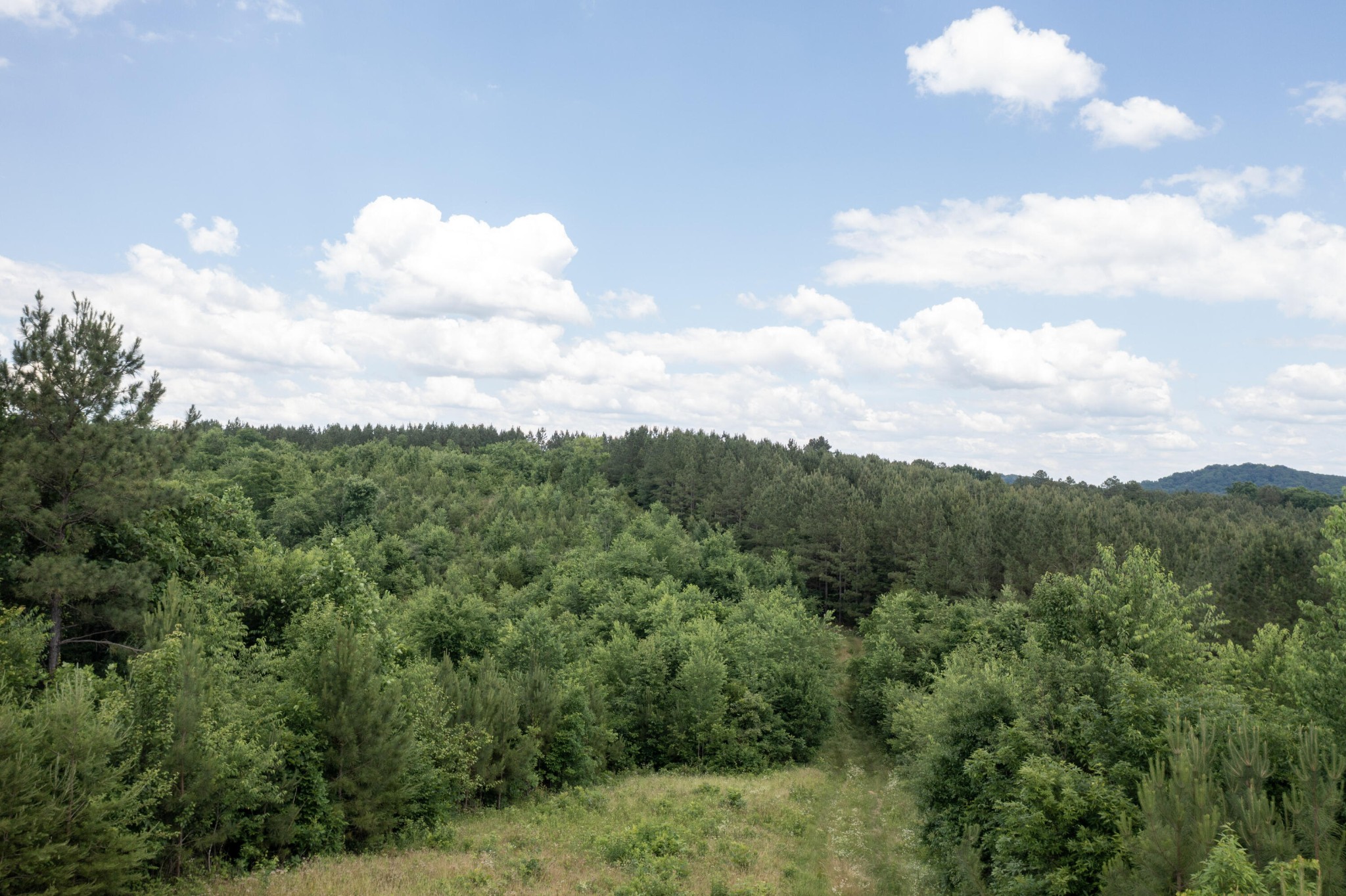 4 State Highway 163 Calhoun TN 37309