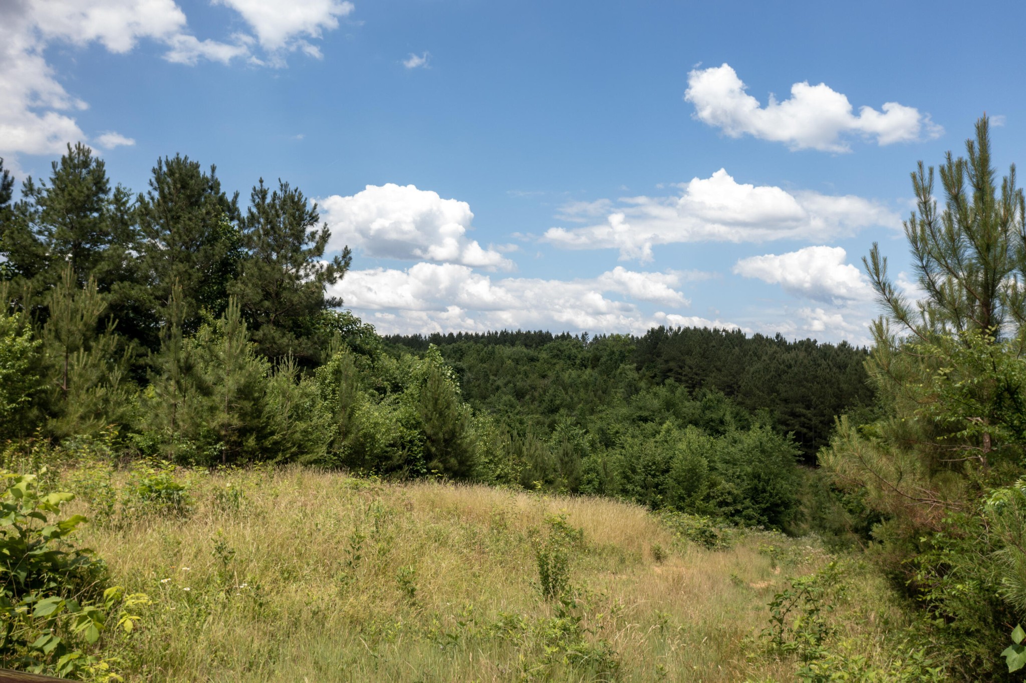 4 State Highway 163 Calhoun TN 37309