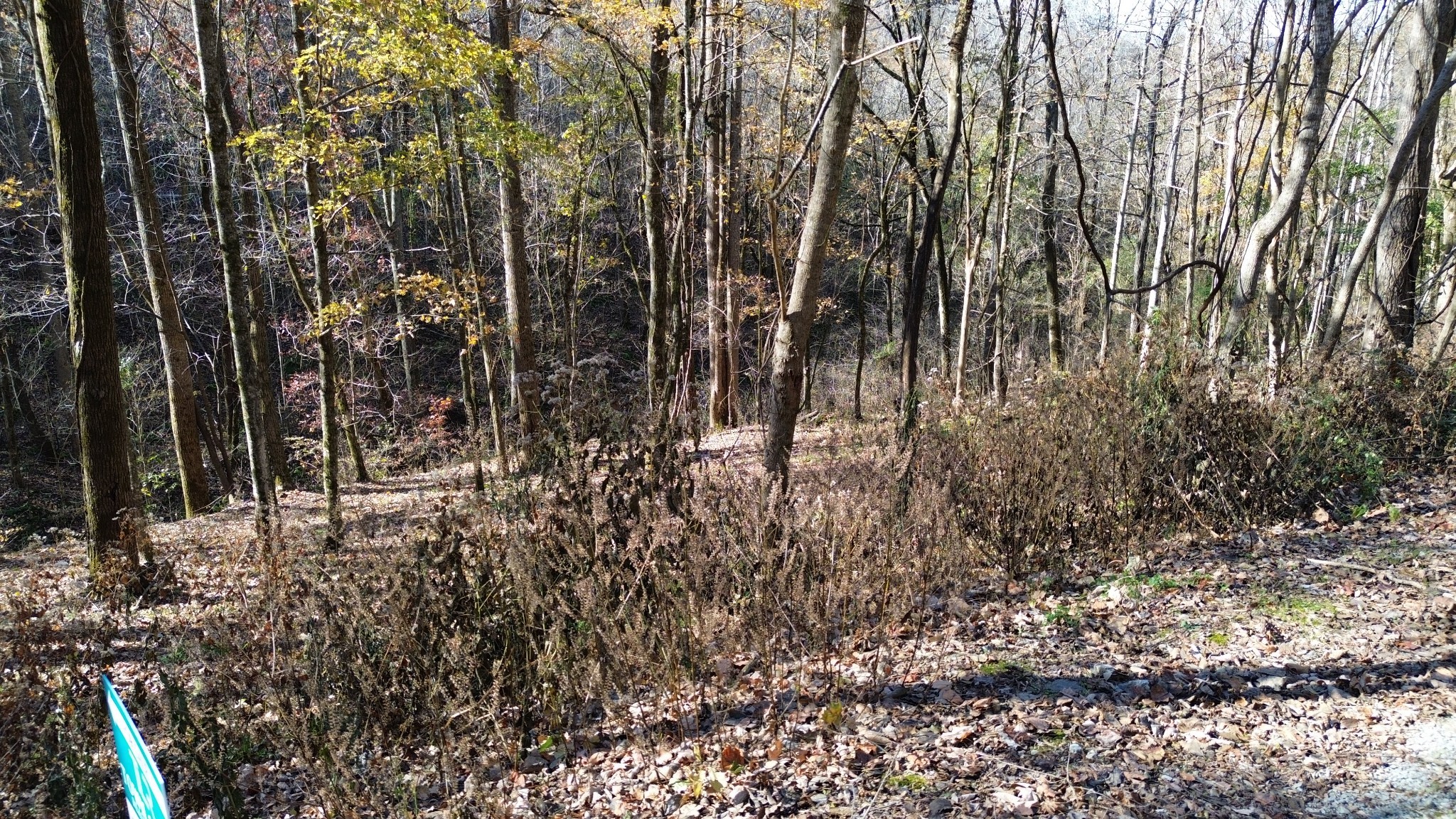 16 Lake View Smithville TN 37166