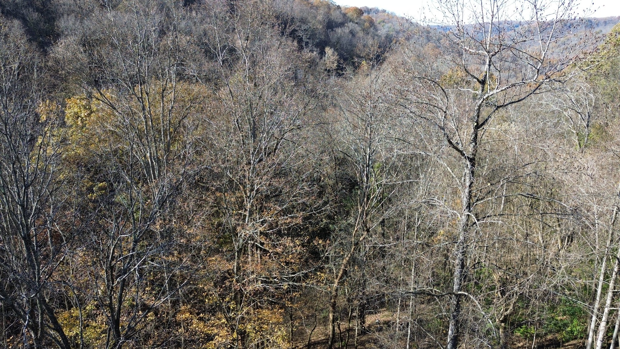 16 Lake View Smithville TN 37166
