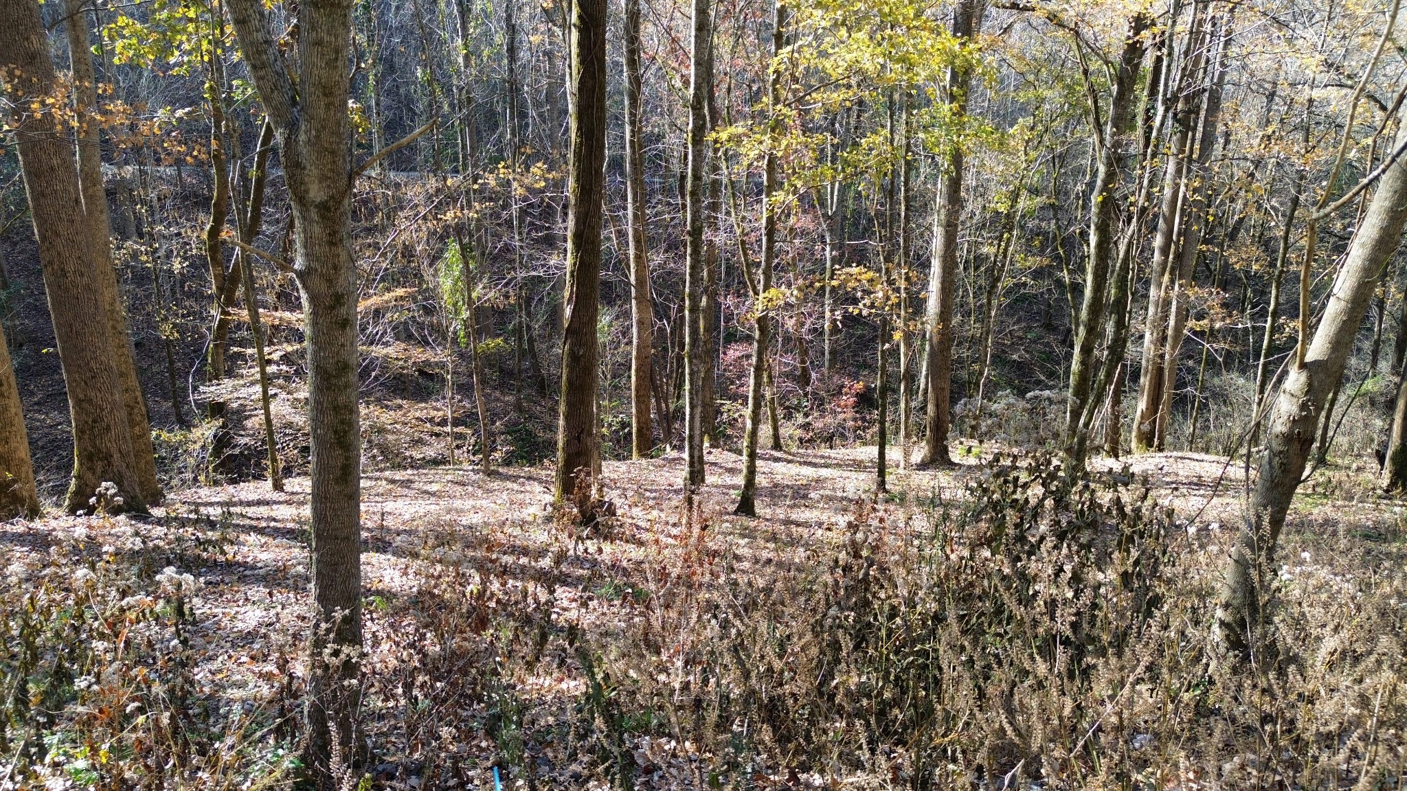 16 Lake View Smithville TN 37166