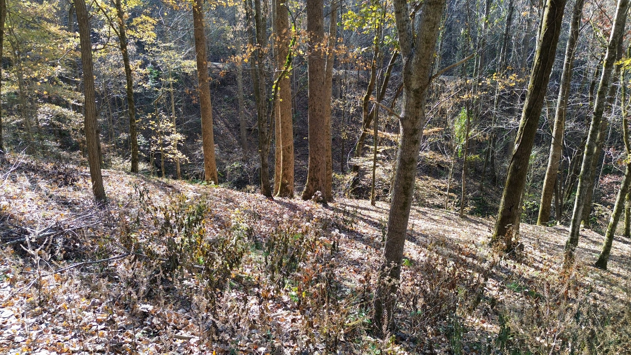16 Lake View Smithville TN 37166