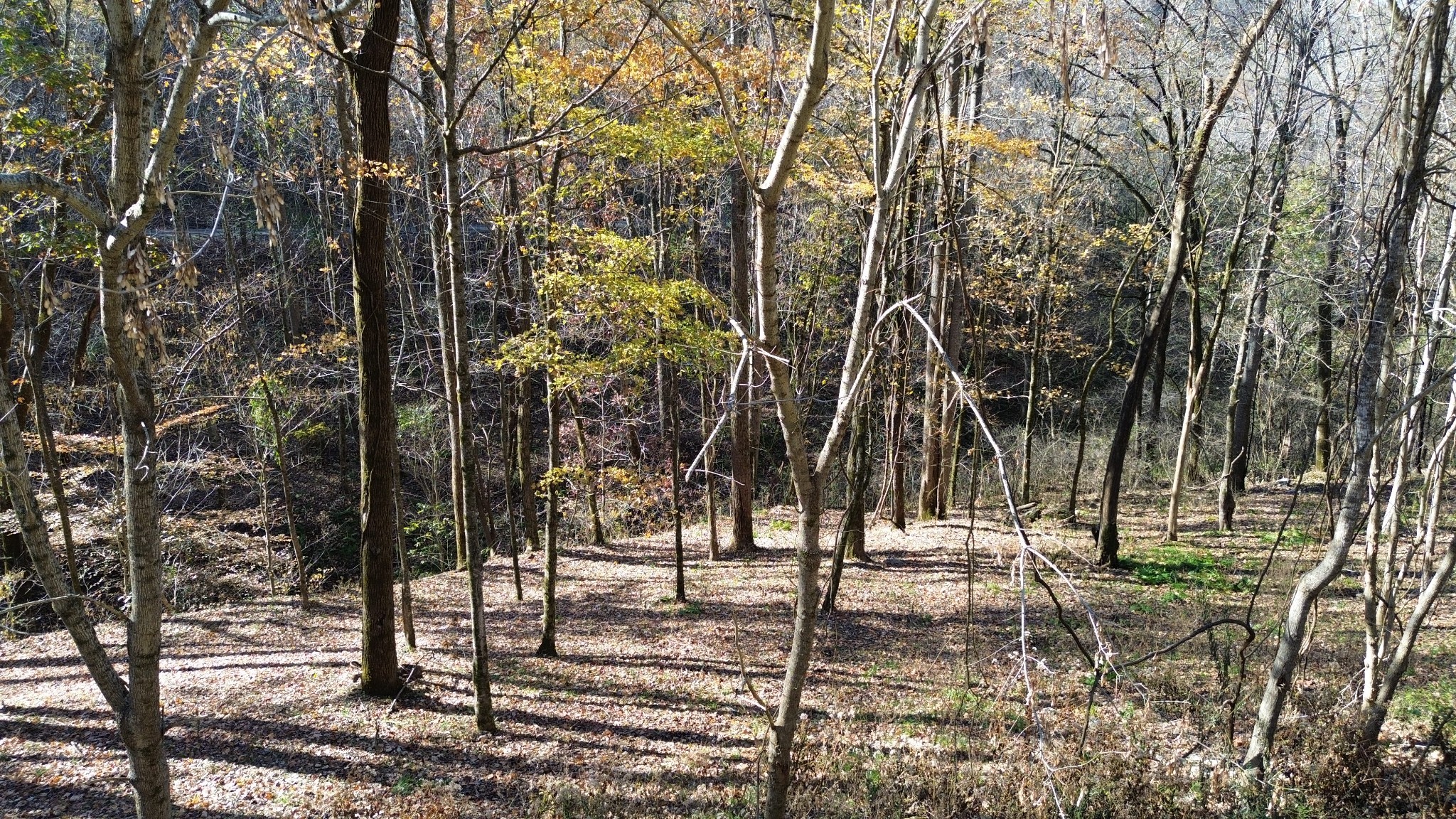 16 Lake View Smithville TN 37166