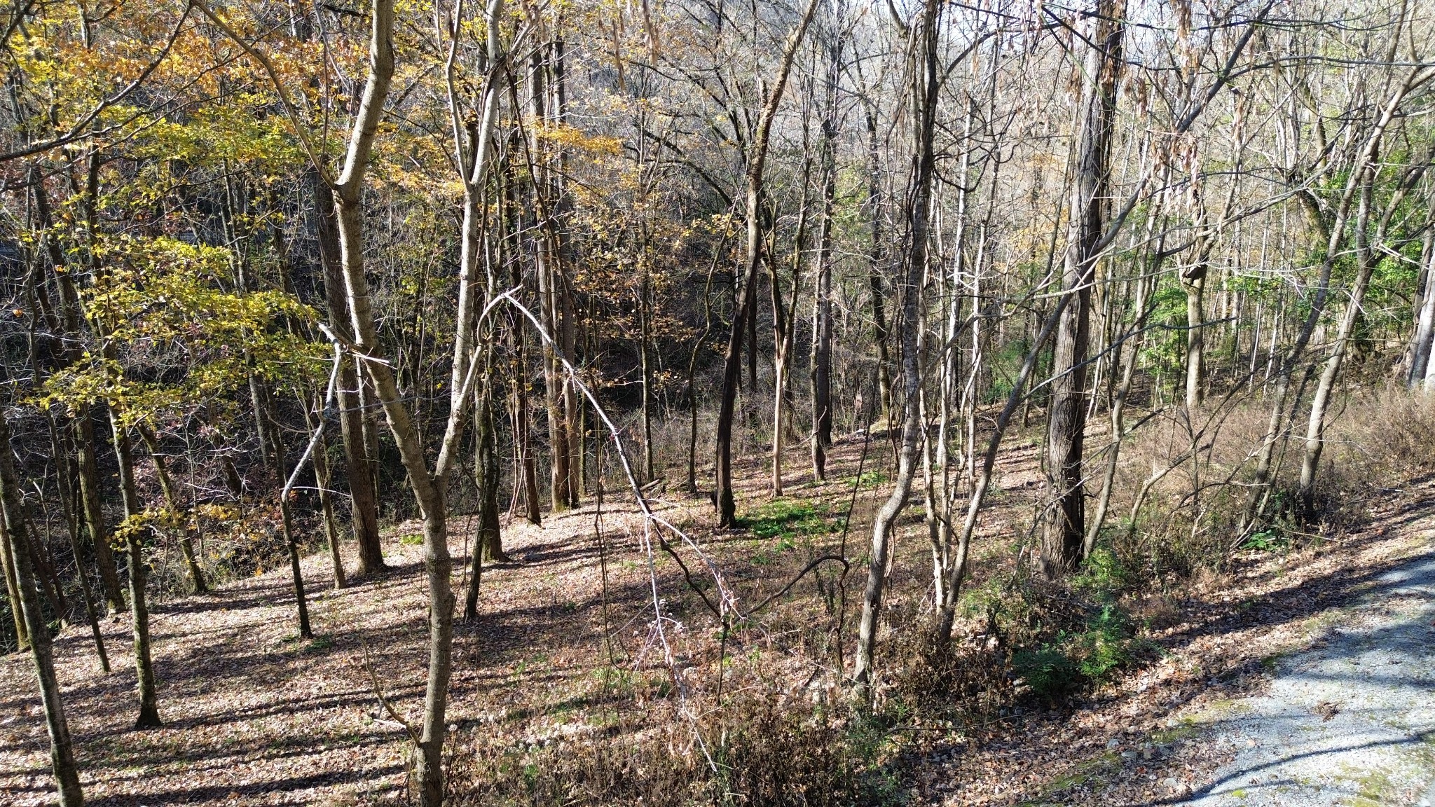 16 Lake View Smithville TN 37166