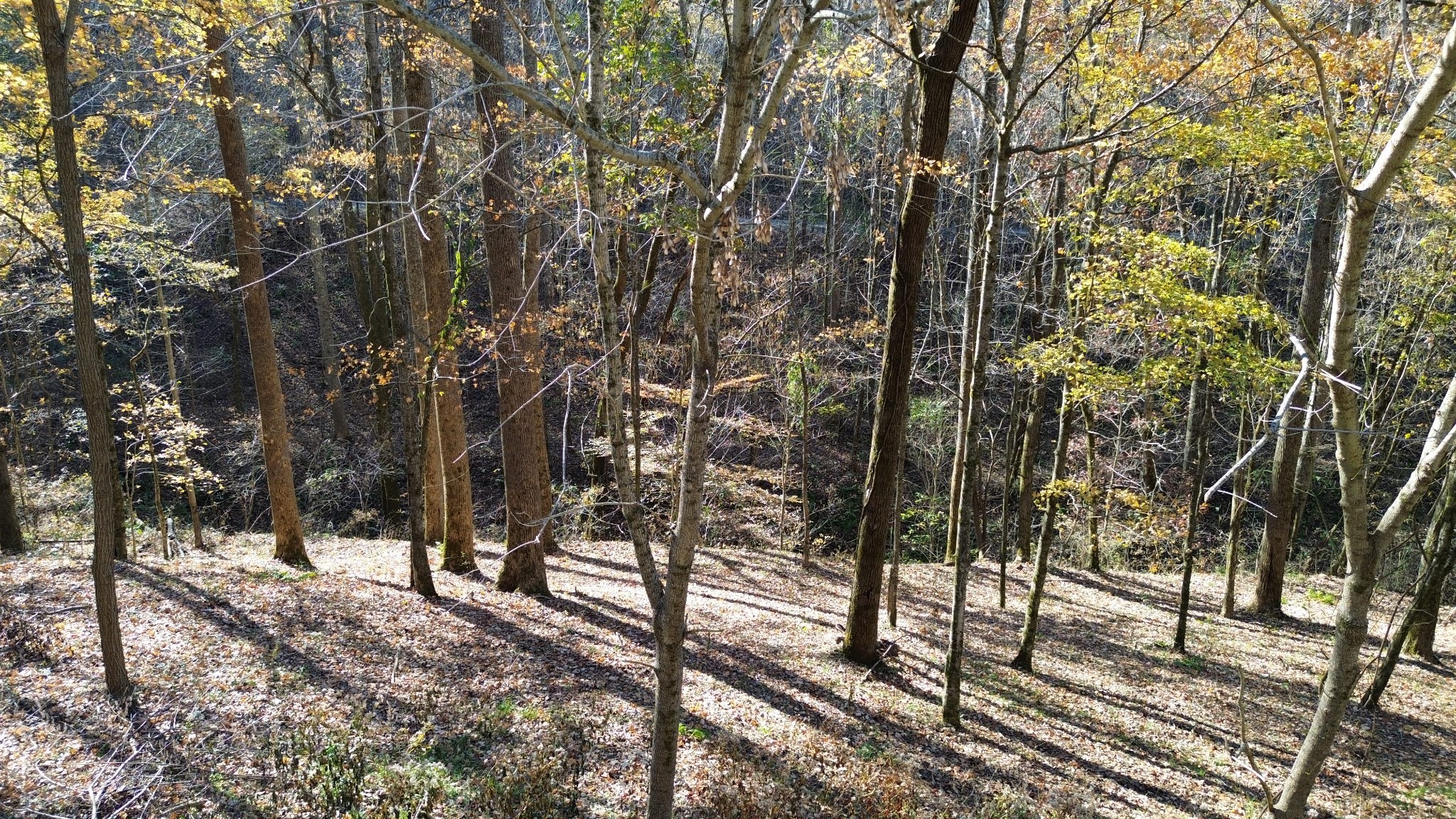 16 Lake View Smithville TN 37166