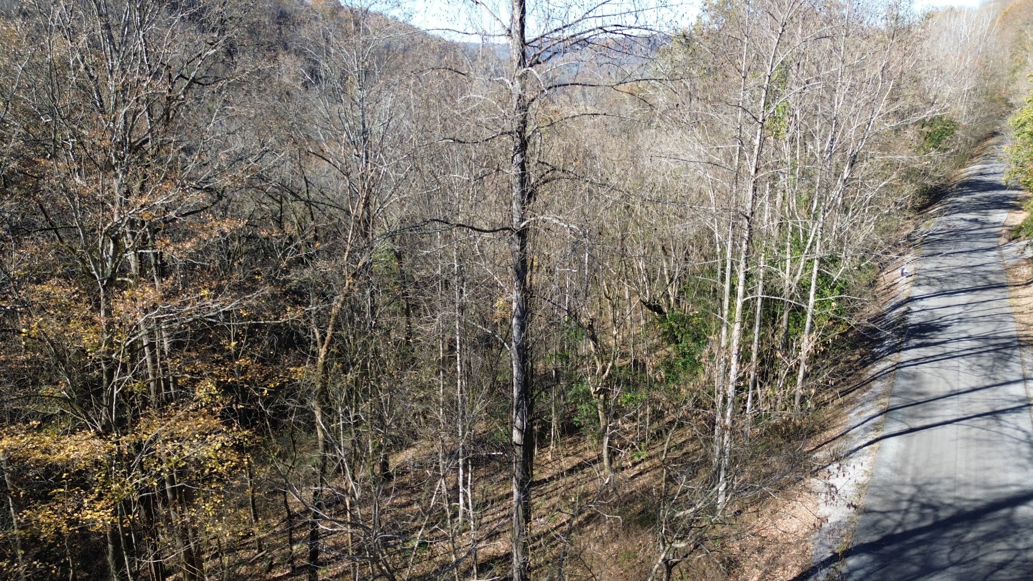 16 Lake View Smithville TN 37166