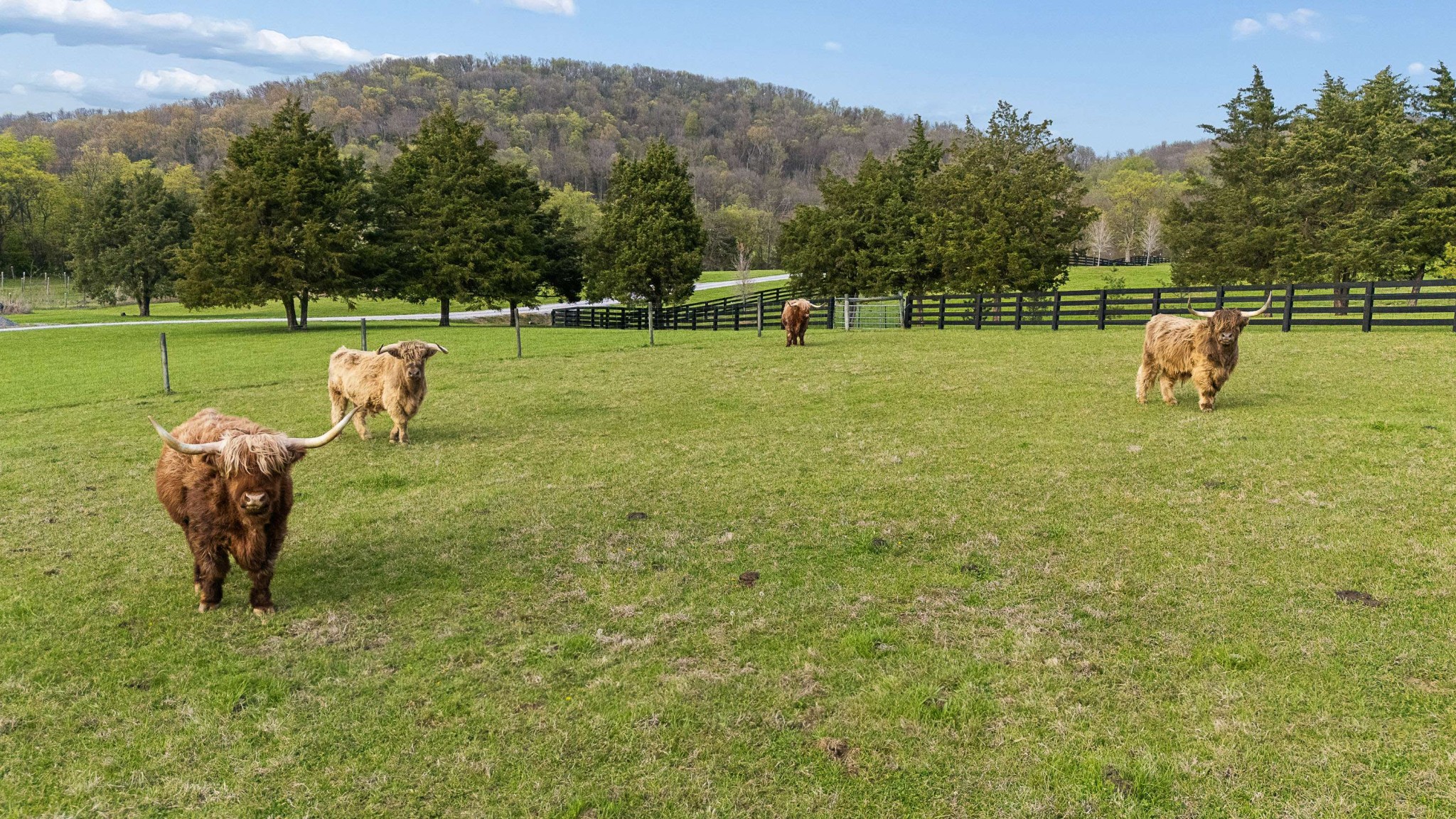 500 Coop Road Bell Buckle TN 37020