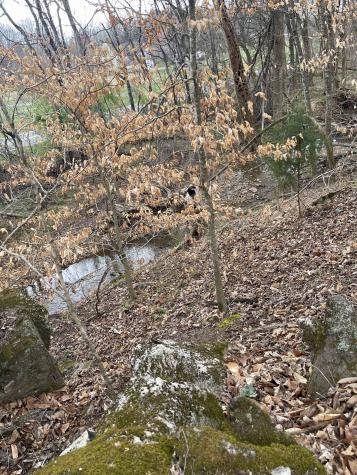 4862 Louise Road Cumberland Furnace TN 37051