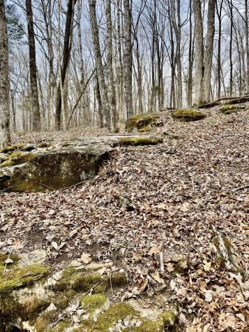 4862 Louise Road Cumberland Furnace TN 37051
