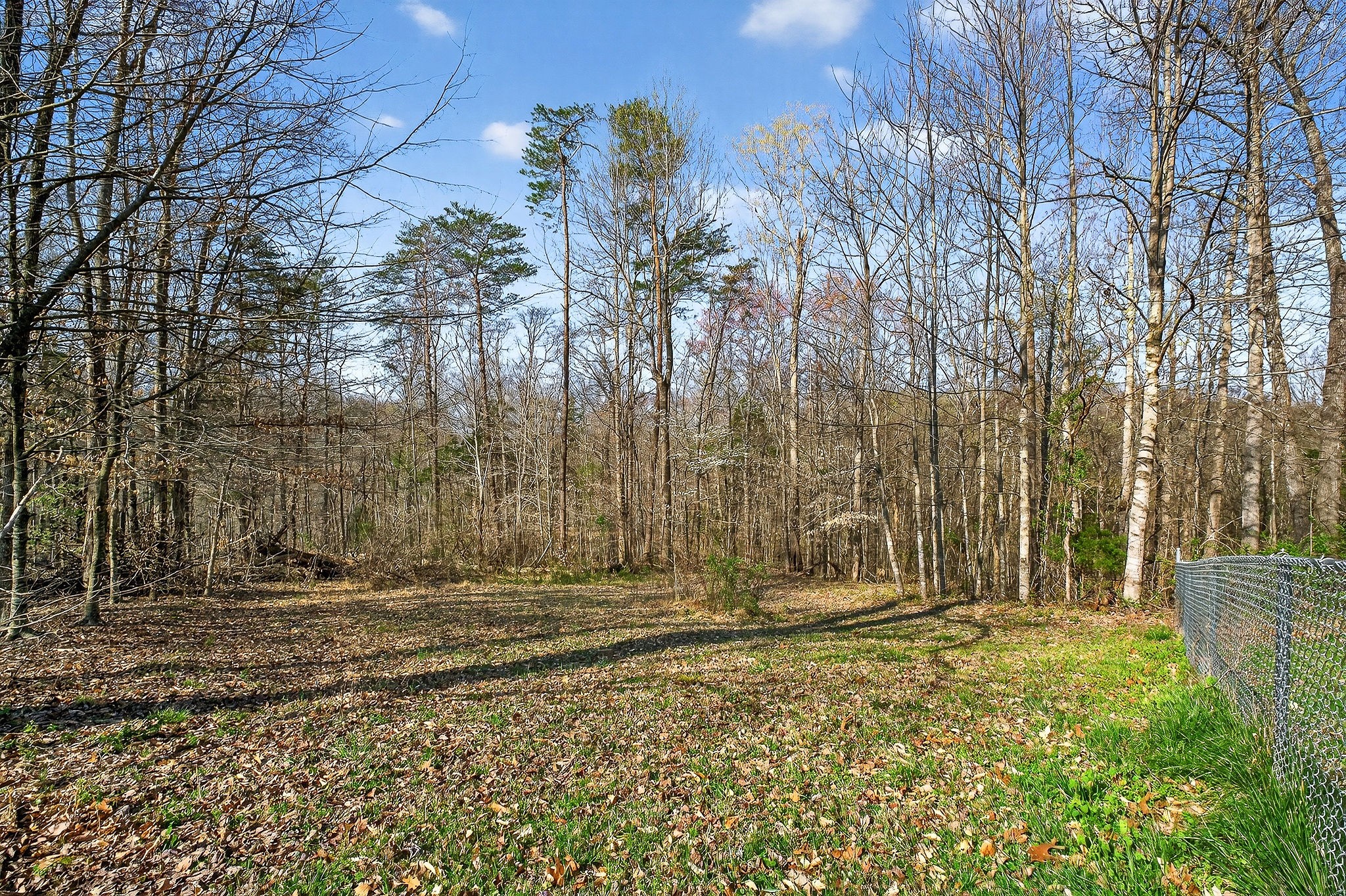 120 Red Bud Lane Hilham TN 38568