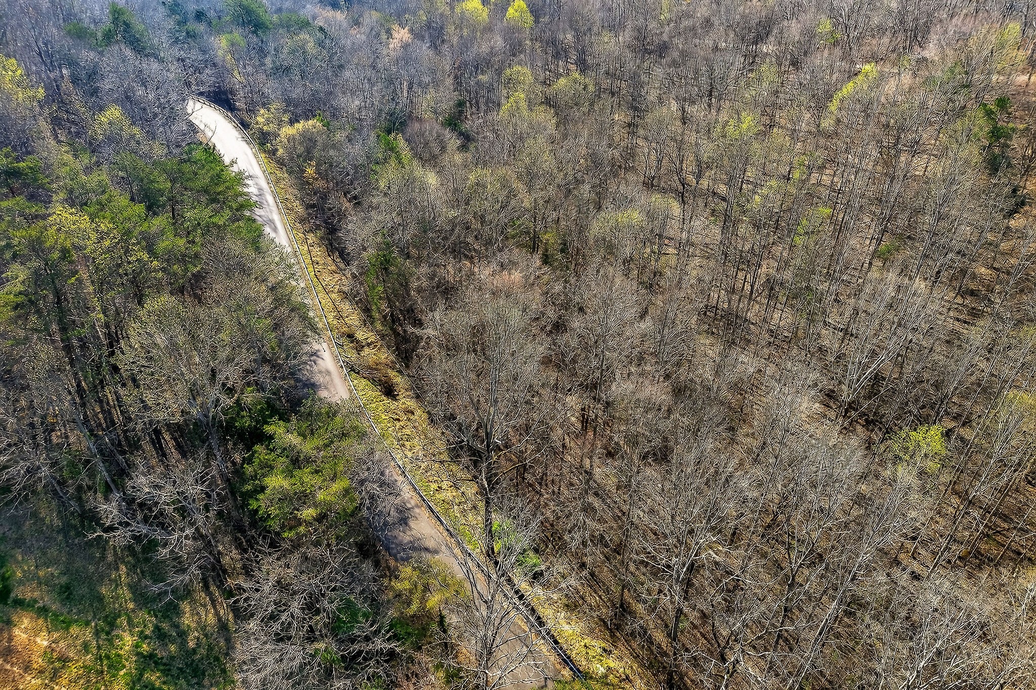 120 Red Bud Lane Hilham TN 38568