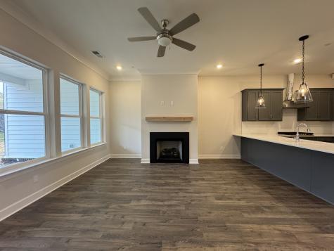 465 Buckwood Avenue Thompsons Station TN 37179