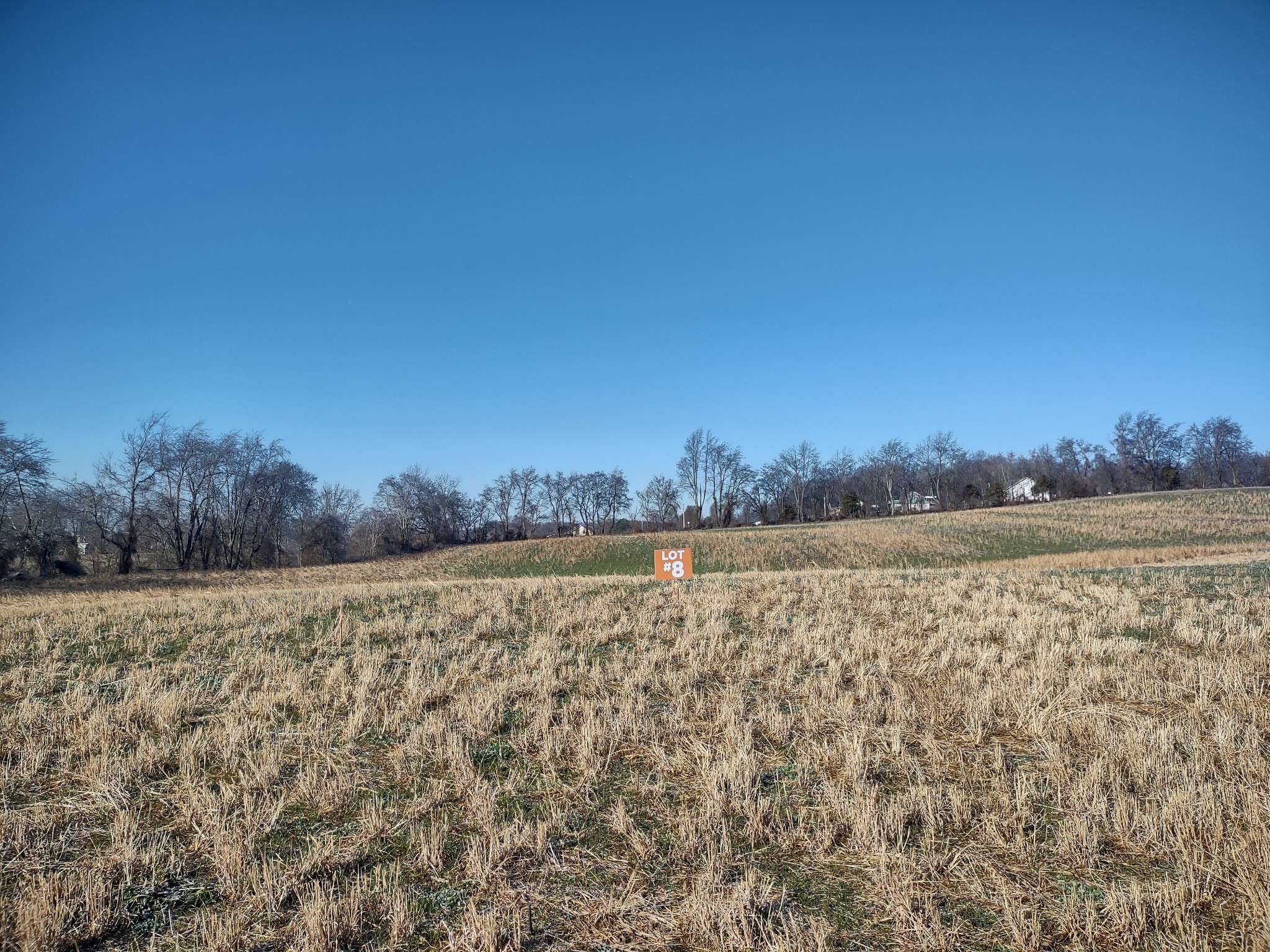 8 Highway161 Springfield TN 37172