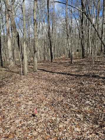 24 Blumont Drive Altamont TN 37301