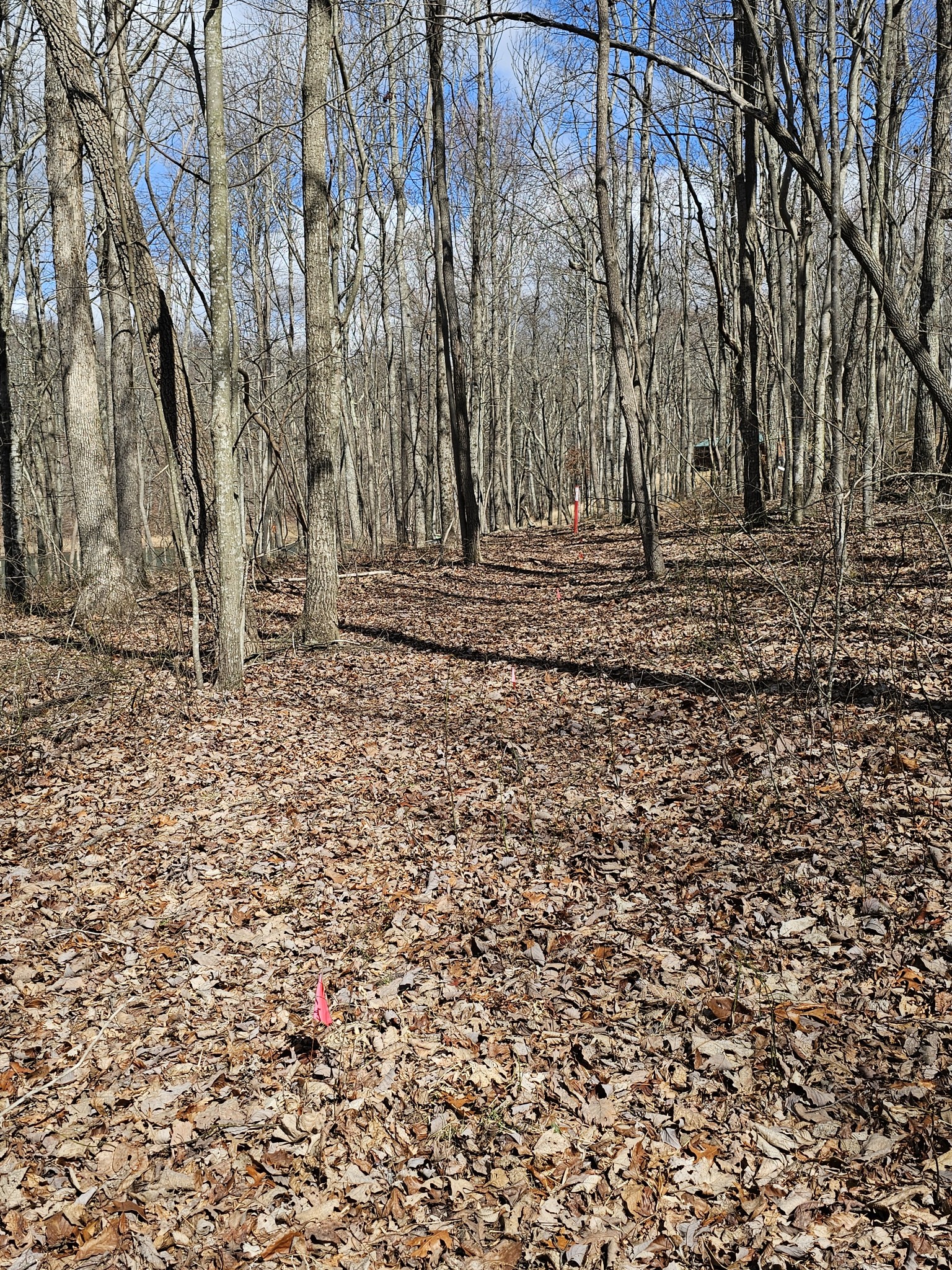24 Blumont Drive Altamont TN 37301