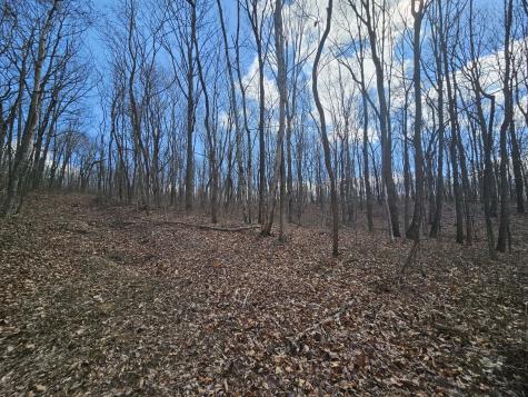 24 Blumont Drive Altamont TN 37301