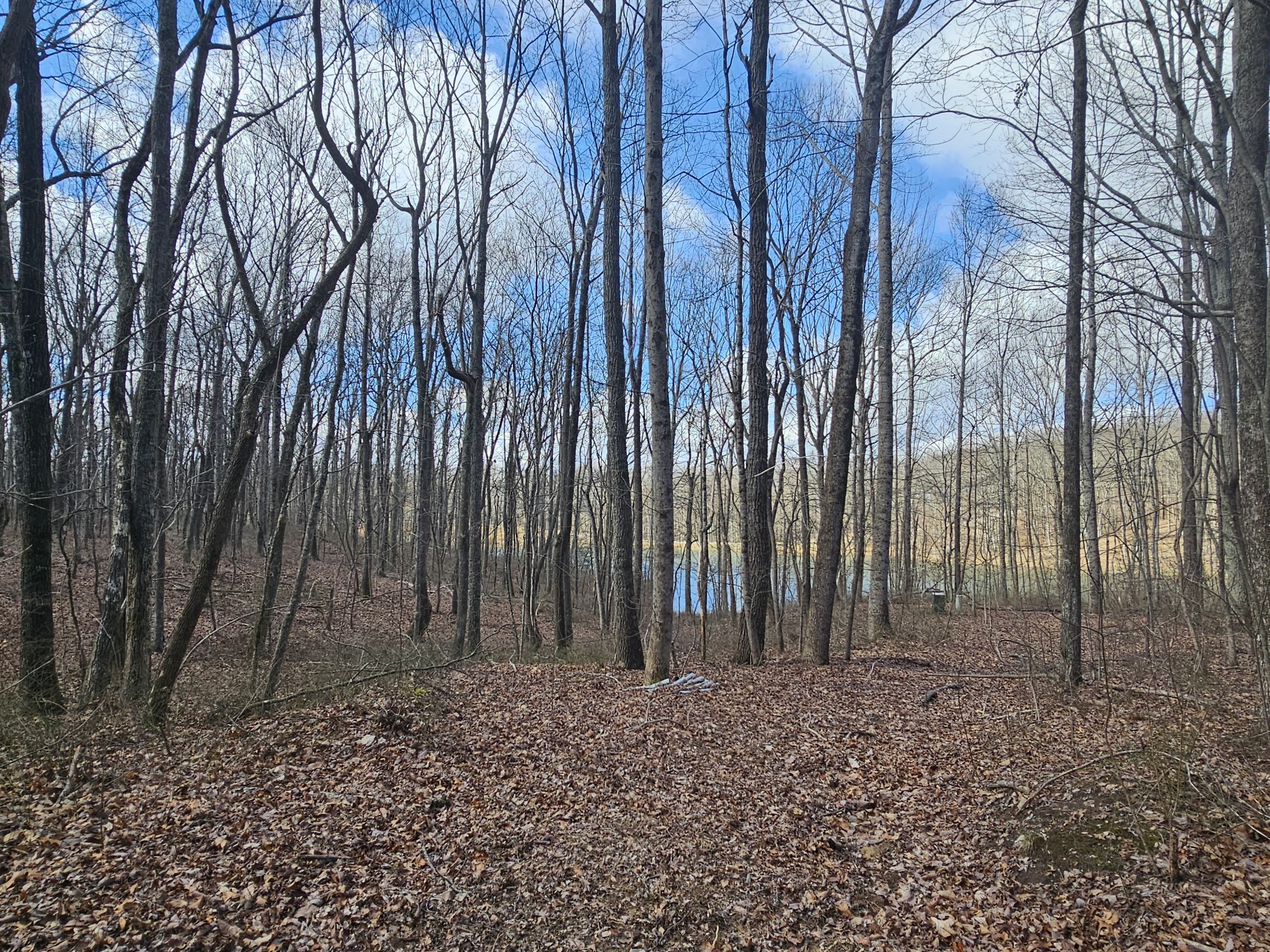 24 Blumont Drive Altamont TN 37301