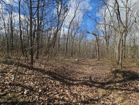 24 Blumont Drive Altamont TN 37301