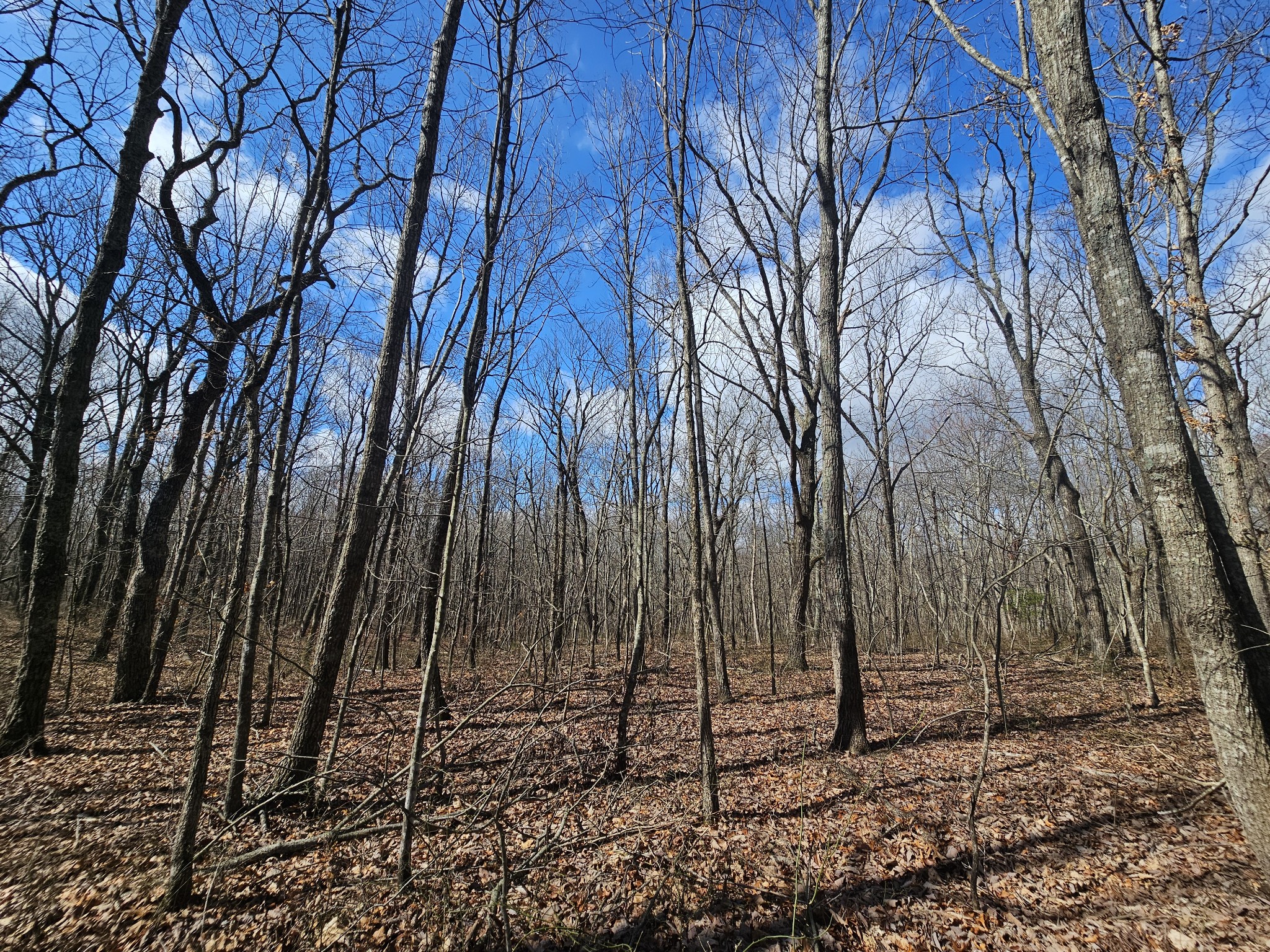 24 Blumont Drive Altamont TN 37301