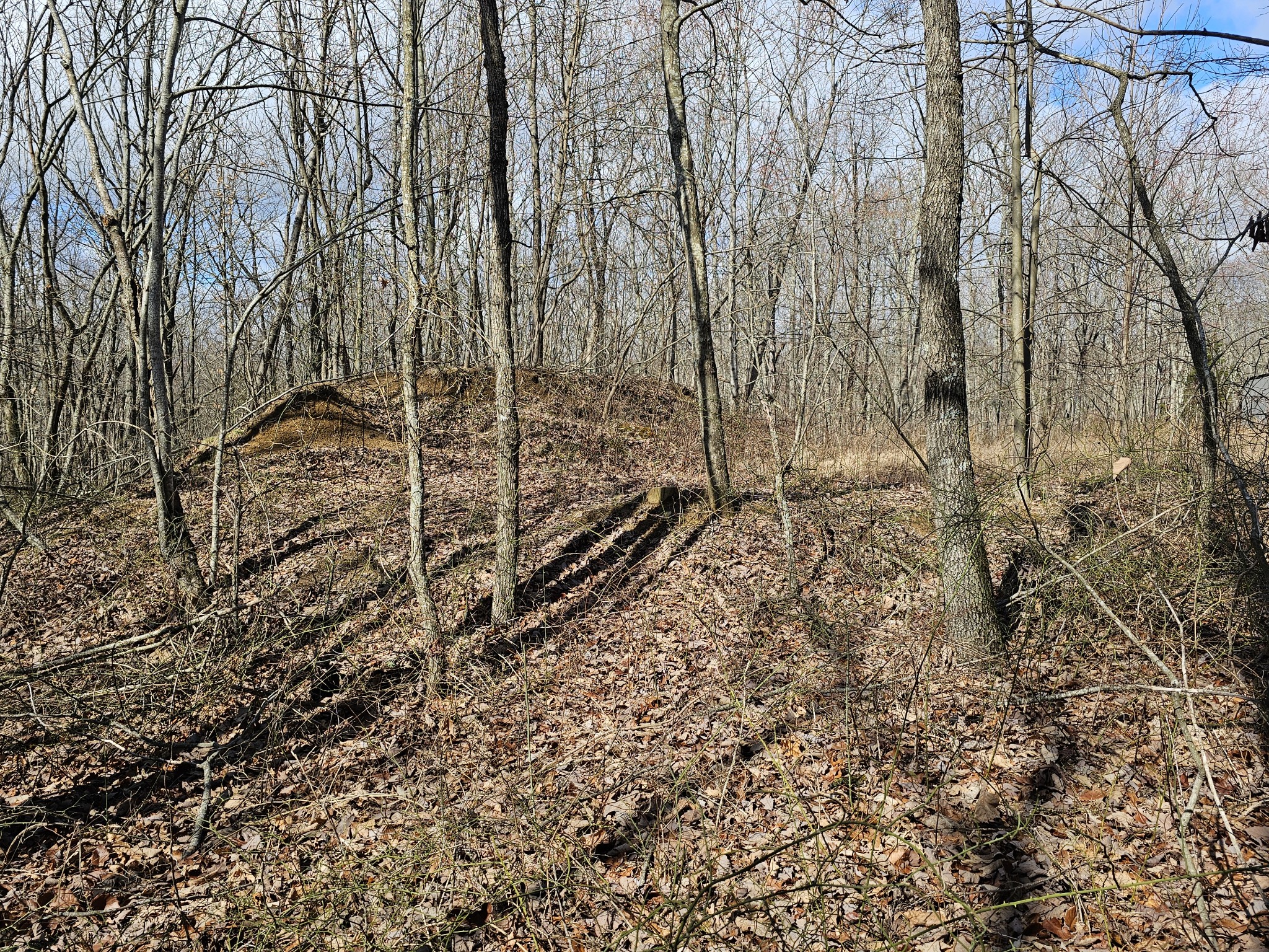 24 Blumont Drive Altamont TN 37301
