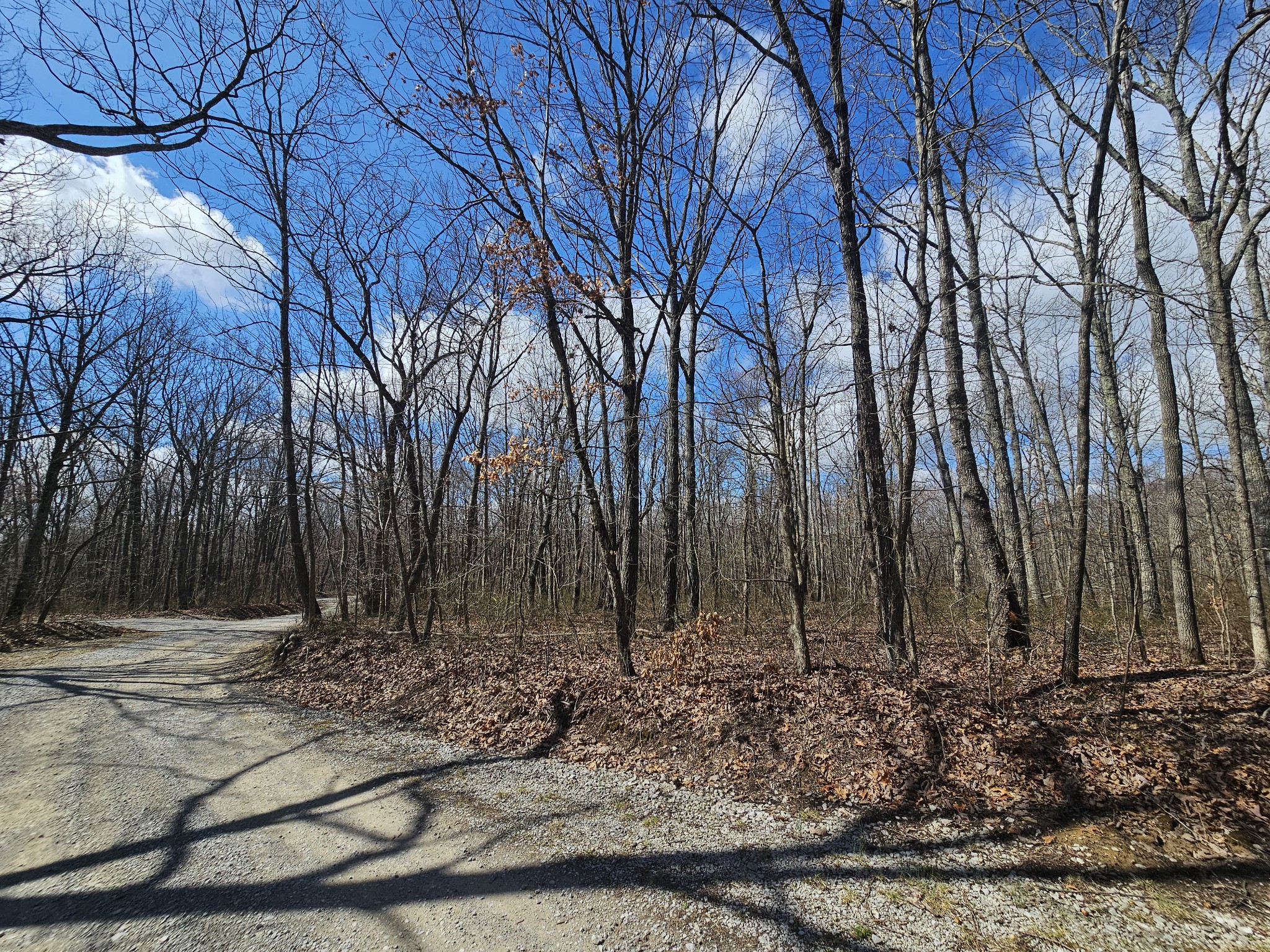 24 Blumont Drive Altamont TN 37301
