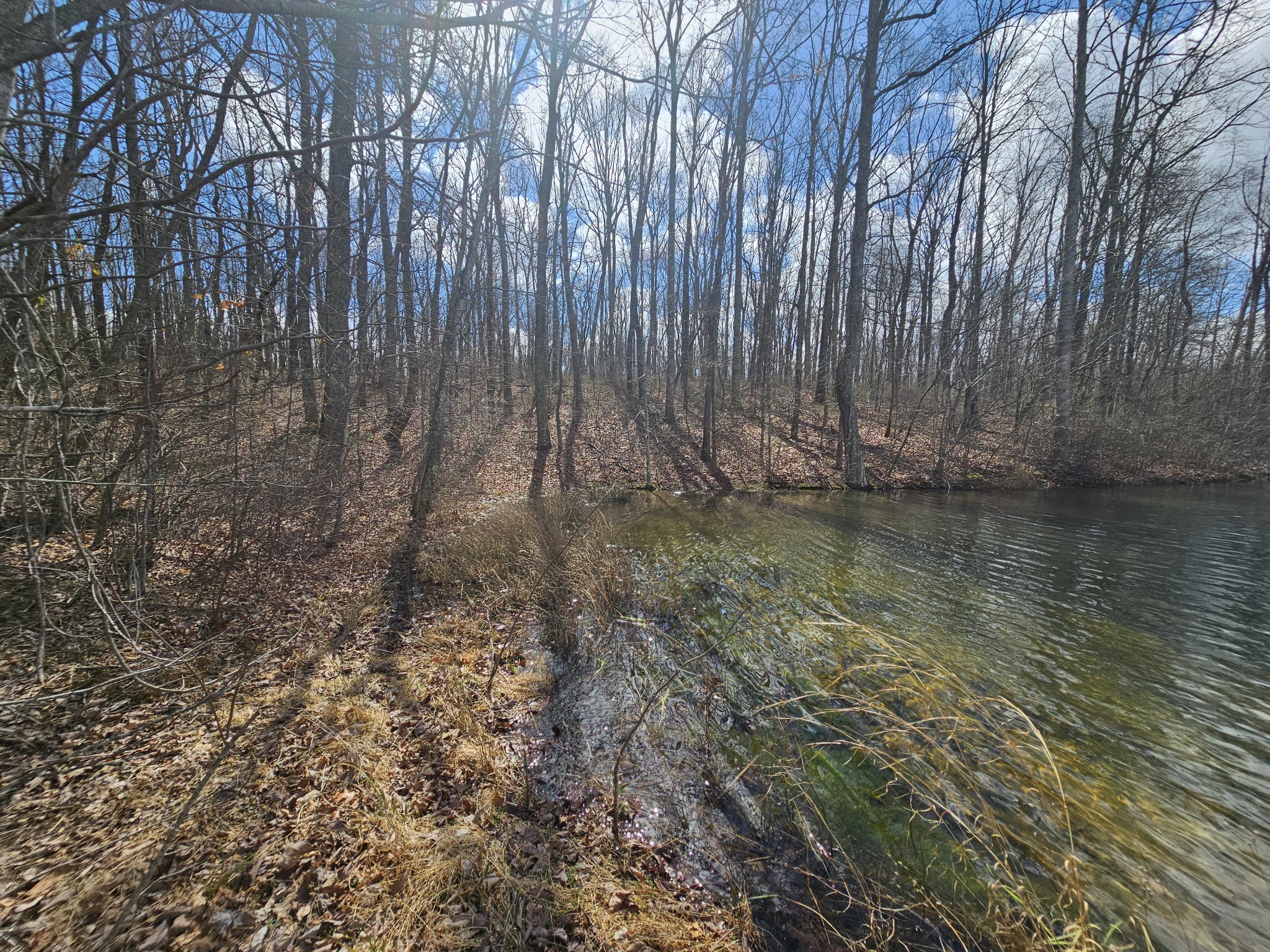 24 Blumont Drive Altamont TN 37301