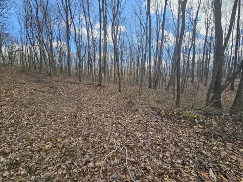 24 Blumont Drive Altamont TN 37301
