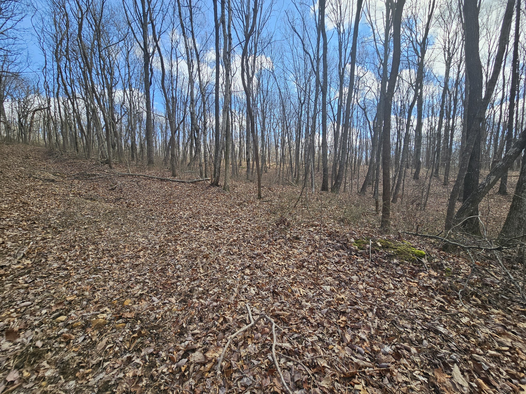 24 Blumont Drive Altamont TN 37301
