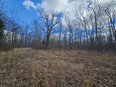 24 Blumont Drive Altamont TN 37301