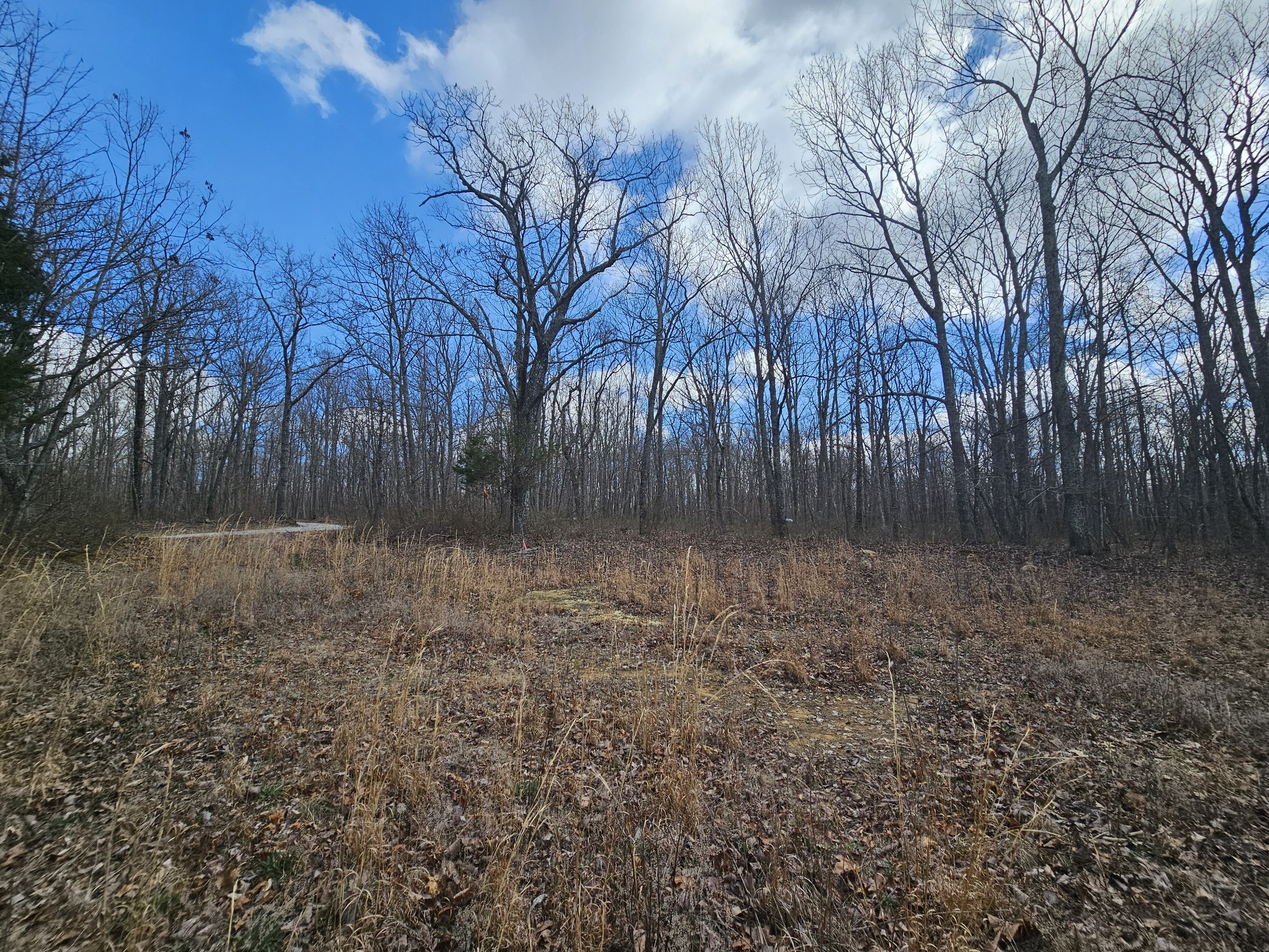 24 Blumont Drive Altamont TN 37301
