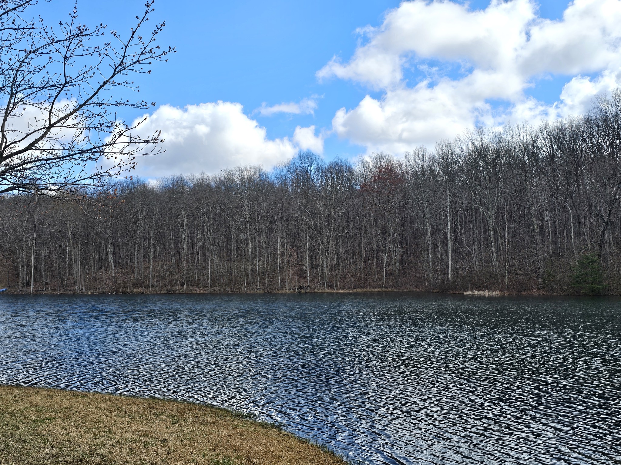 24 Blumont Drive Altamont TN 37301