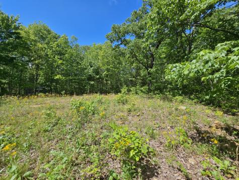 24 Blumont Drive Altamont TN 37301