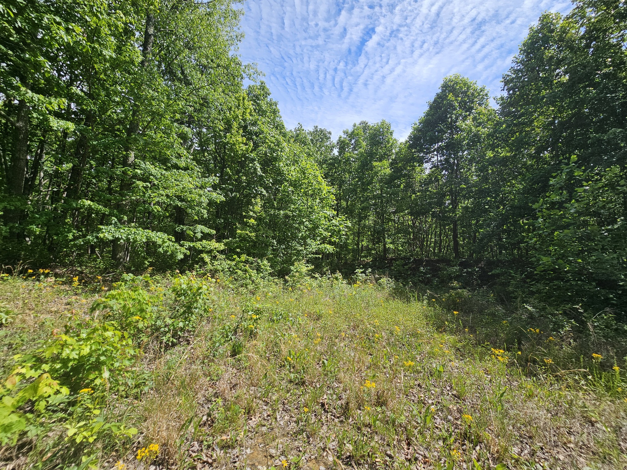 24 Blumont Drive Altamont TN 37301